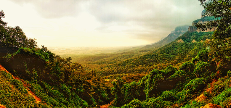 �zӰ���p ����̫�� �����h �z_����.jpg